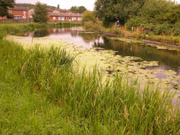 veiw of canal at side of estate with man on bicycle